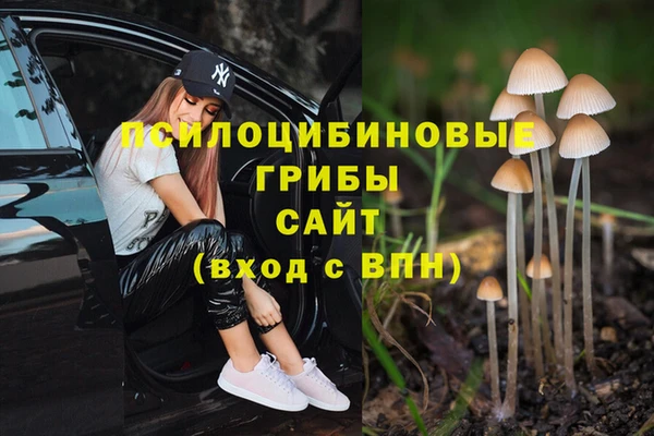 ПСИЛОЦИБИНОВЫЕ ГРИБЫ Медногорск