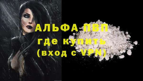 ПСИЛОЦИБИНОВЫЕ ГРИБЫ Медногорск