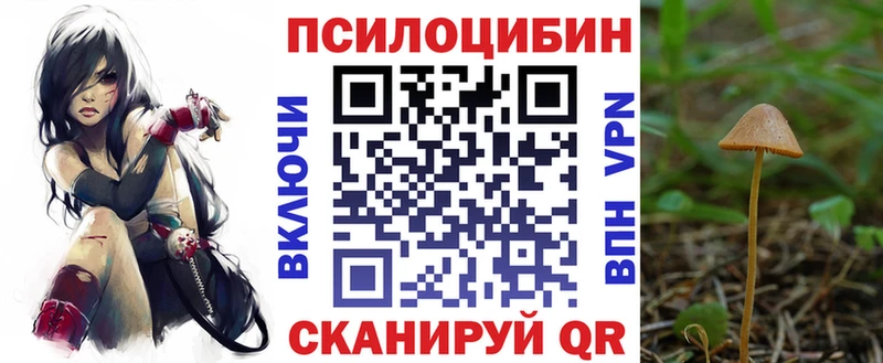 Галлюциногенные грибы MAGIC MUSHROOMS  наркота  blacksprut зеркало  darknet какой сайт  Малгобек 