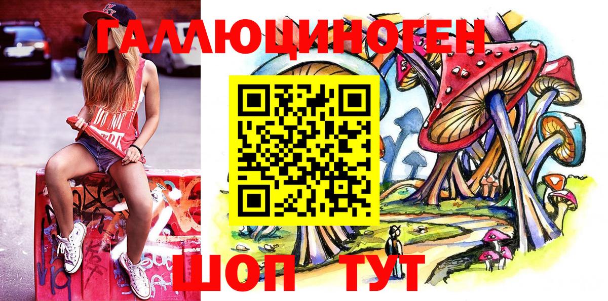 Псилоцибиновые грибы Psilocybine cubensis Малгобек