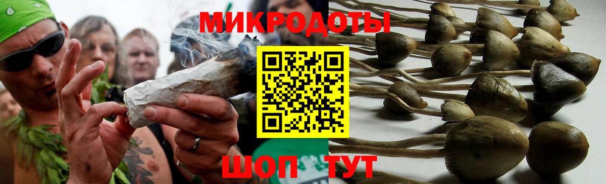 Псилоцибиновые грибы MAGIC MUSHROOMS Малгобек